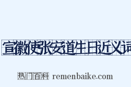 宣徽使张安道生日近义词是什么意思的图片